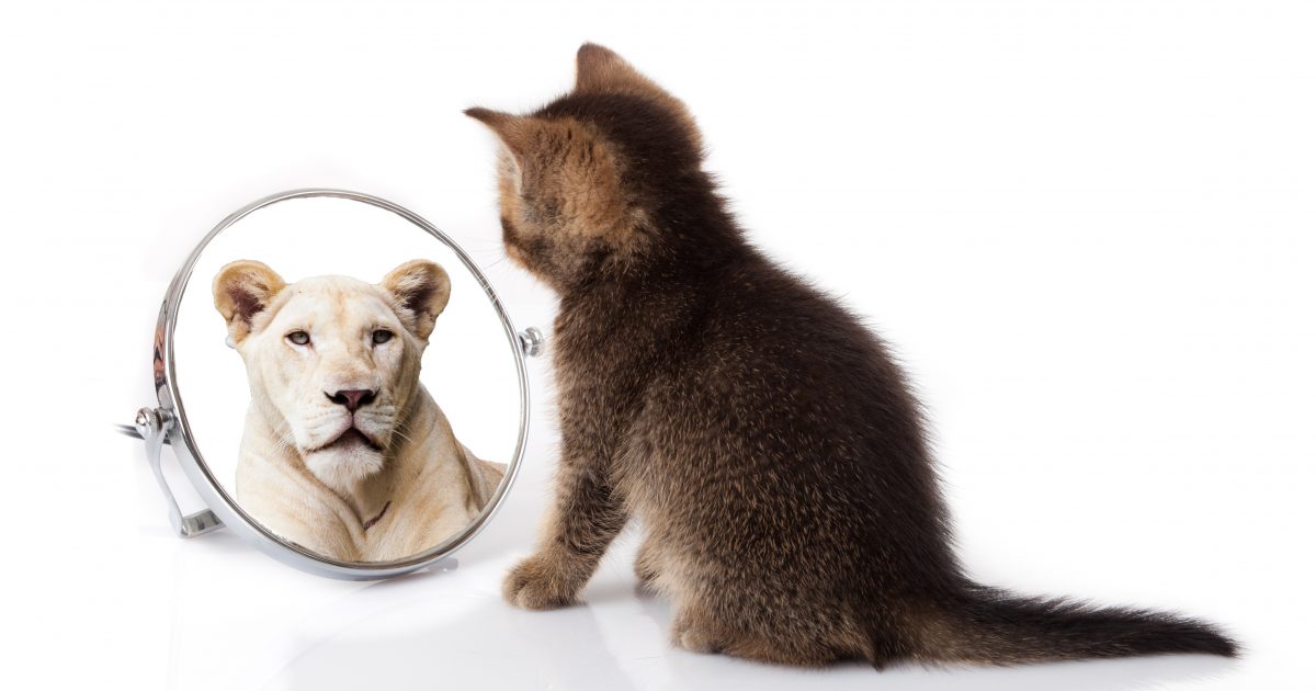 Mirror checking and the Traps for… Counseling Therapy