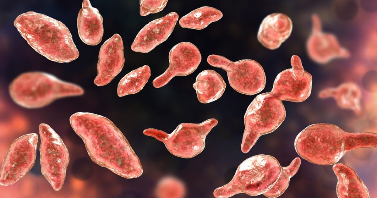 Mycoplasma Genitalium and Why It May Be a… | Center for Growth Therapy