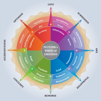 How to Feel Your Feelings: Feeling Wheel image