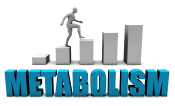 Metabolism: Eating Disorder Therapy in Philadelphia, Mechanicsville, Santa Fe, Ocean City image
