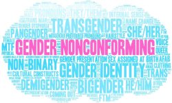 Gender Non-Binary Support Group image